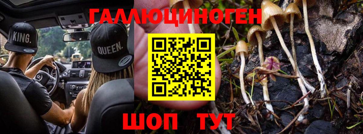 Псилоцибиновые грибы Magic Shrooms  Вход с VPN  Саяногорск 
